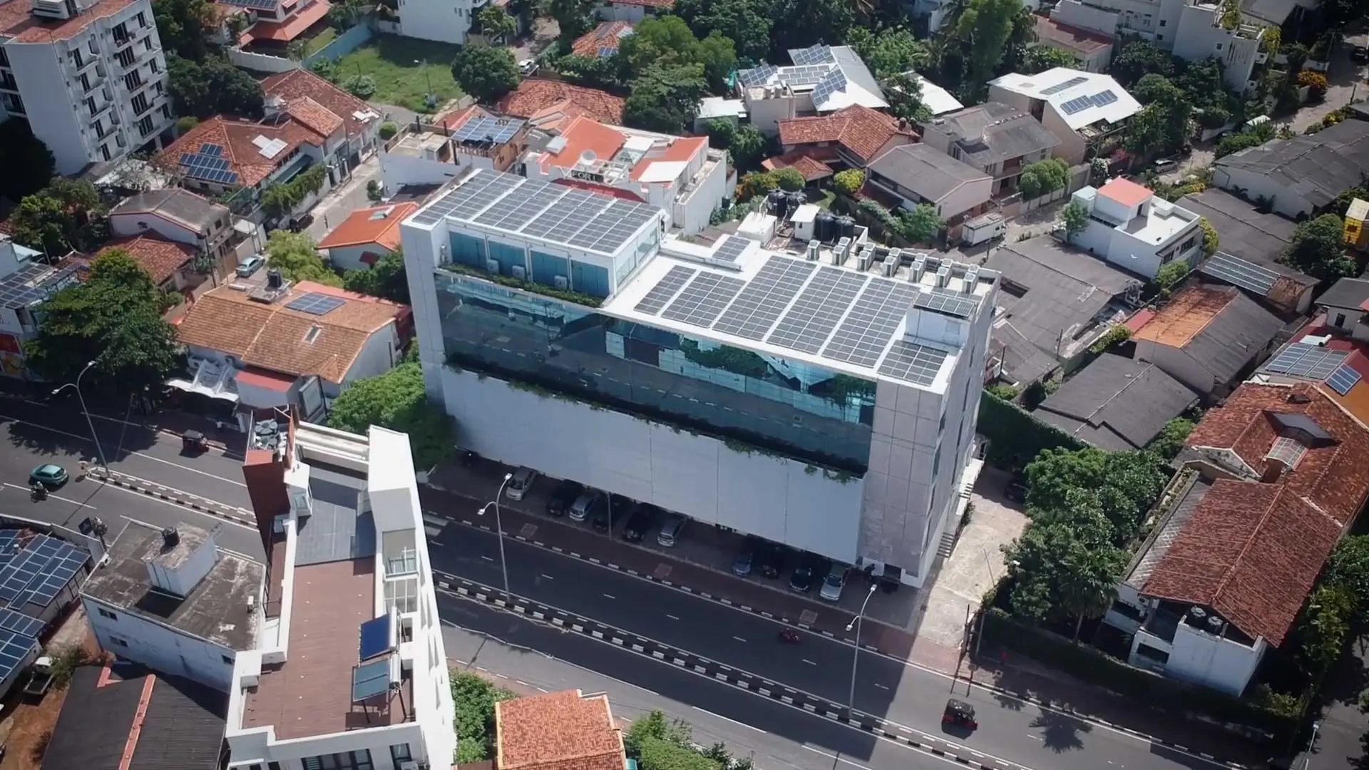 Smiling professionals stand in office.